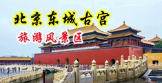 可爱内内美眉被CAO娇喘流白浆中国北京-东城古宫旅游风景区